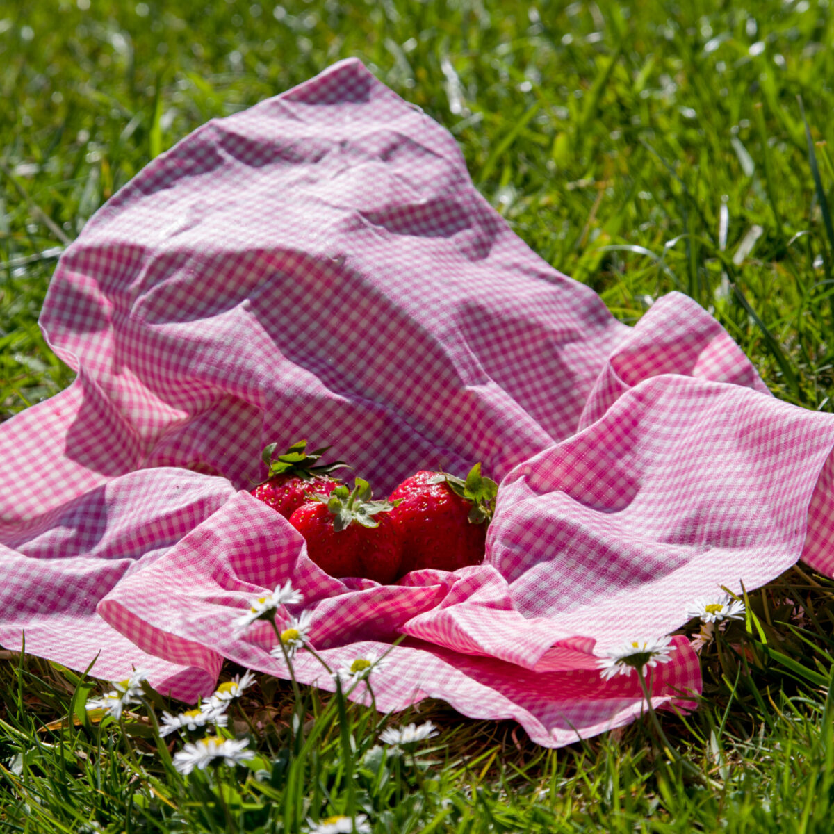 Erdbeer-Picknick.